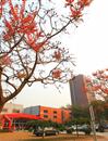 岁月静好 金秋北音