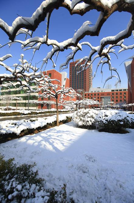 北音春雪声韵
